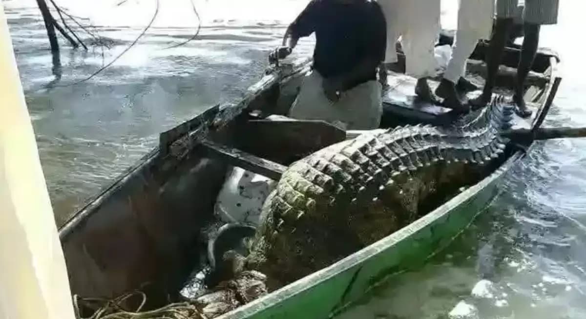 السياسة والأخبار
