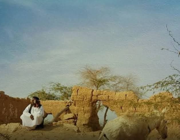 ثقافة وفنون