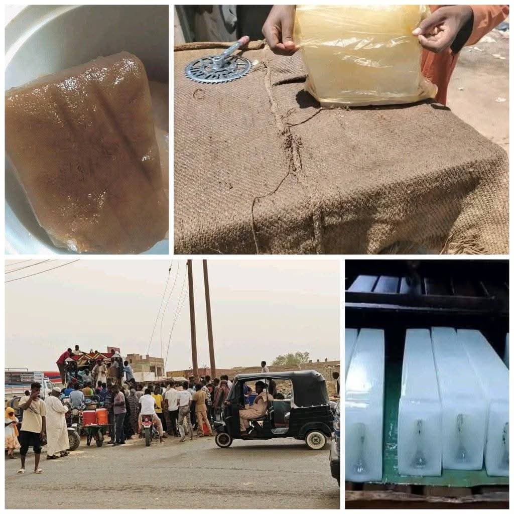 السياسة والأخبار