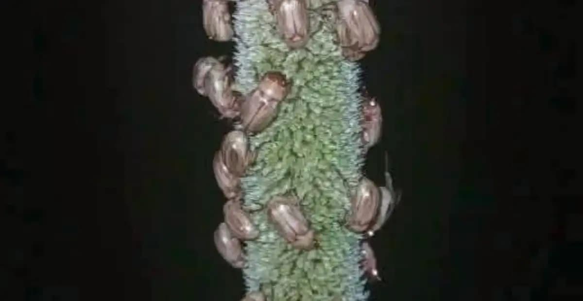 السياسة والأخبار