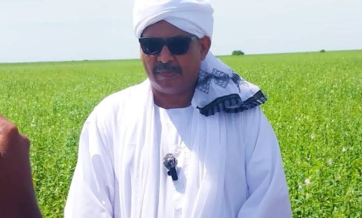 السياسة والأخبار