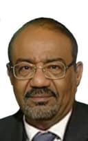نبيل عبد الفتاح